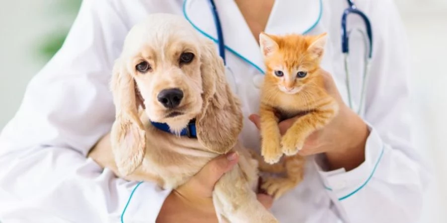 Rekomendasi klinik dokter hewan terdekat di Magetan