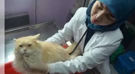 Rekomendasi klinik dokter hewan terdekat di Rungkut Surabaya