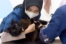 Rekomendasi klinik dokter hewan terdekat di Kota Kediri