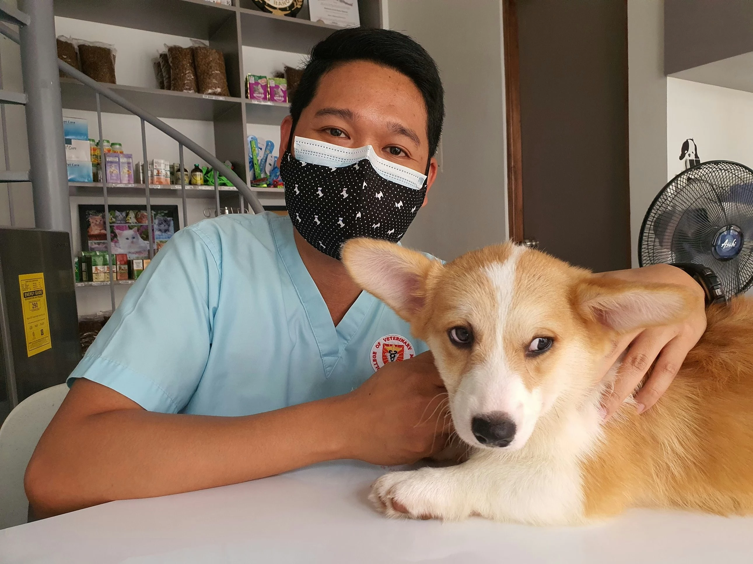Rekomendasi klinik dokter hewan terdekat di Tuban
