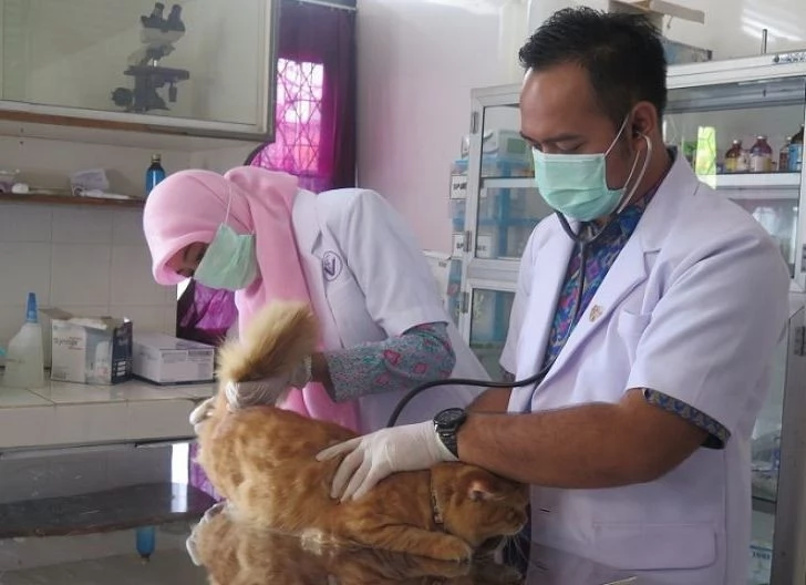 Rekomendasi klinik dokter hewan terdekat di Bojonegoro